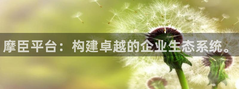 k8凯发平台管网入口：摩臣平台：构建卓越的企业生态系统。