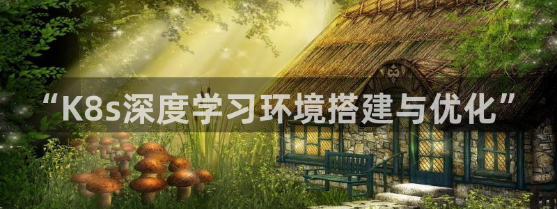 k8凯发网站平台登录：“K8s深度学习环境搭建与优化”