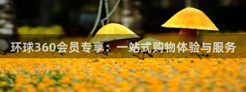 k8凯发是真的吗