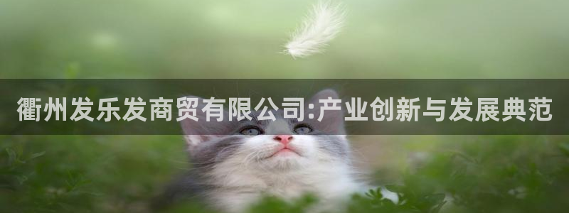 凯发再生资源：衢州发乐发商贸有限公司:产业创新与发展典范