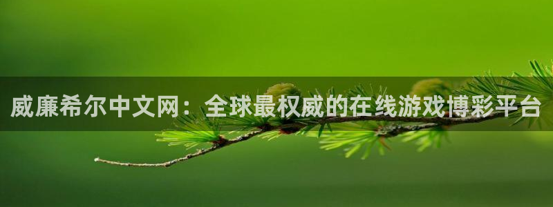 凯发娱乐备用网址：威廉希尔中文网：全球最权威的在线游戏博彩平台