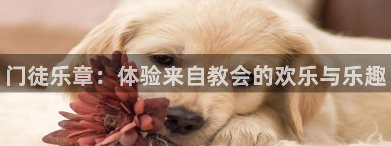 壹号官方app下载安装