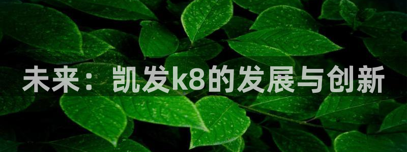 壹号app下载链接
