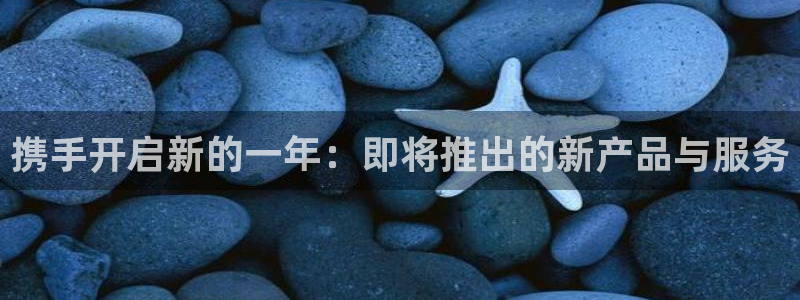 k8凯发电子游戏官网