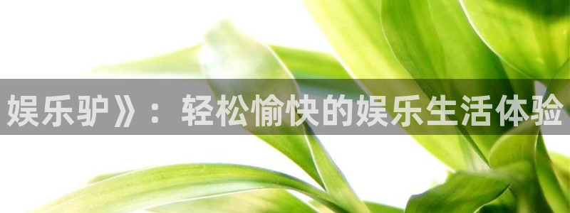 凯发电气重组