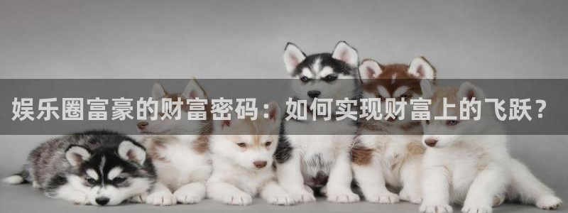 凯发k8国际网站