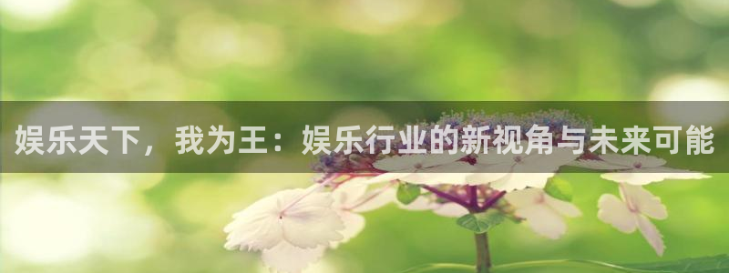 k8凯发下载：娱乐天下，我为王：娱乐行业的新视角与未来可能