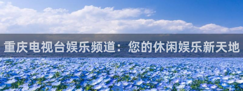 凯发app官网登录：重庆电视台娱乐频道：您的休闲娱乐新天地