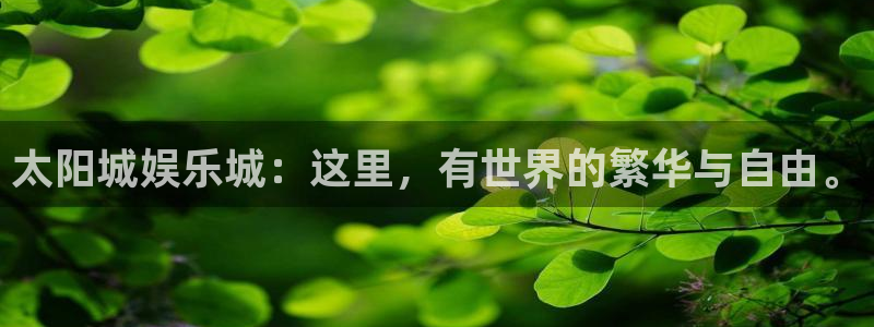 凯发k8一触即发：太阳城娱乐城：这里，有世界的繁华与自由。