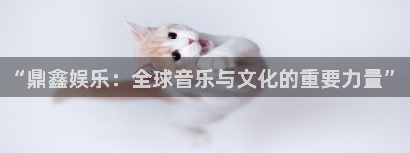 西安凯发大厦：“鼎鑫娱乐：全球音乐与文化的重要力量”