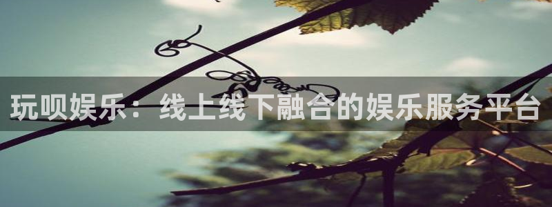 k8凯发在线下载：玩呗娱乐：线上线下融合的娱乐服务平台