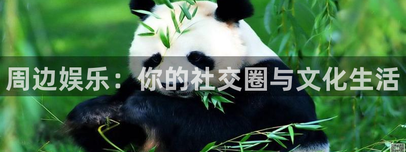 凯发电气会涨吗