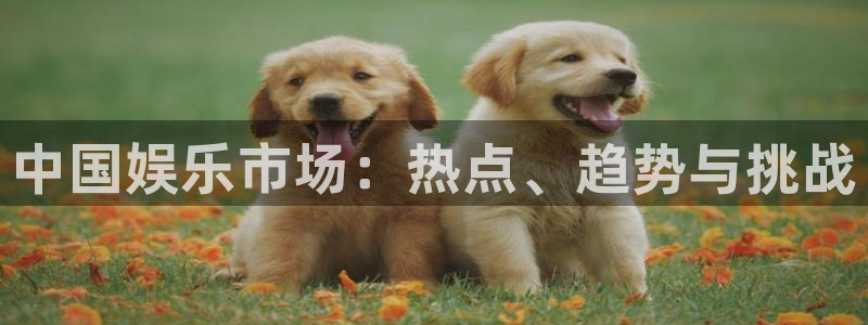 ag凯发k8国际