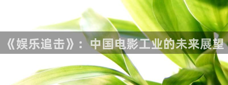 凯发天生赢家一触即发首页
