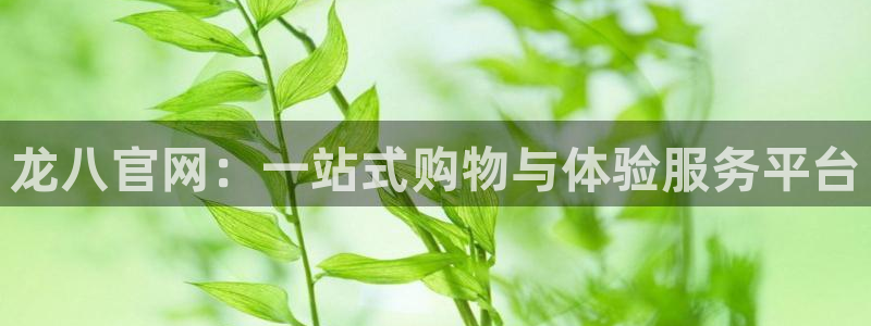 凯发官网平台