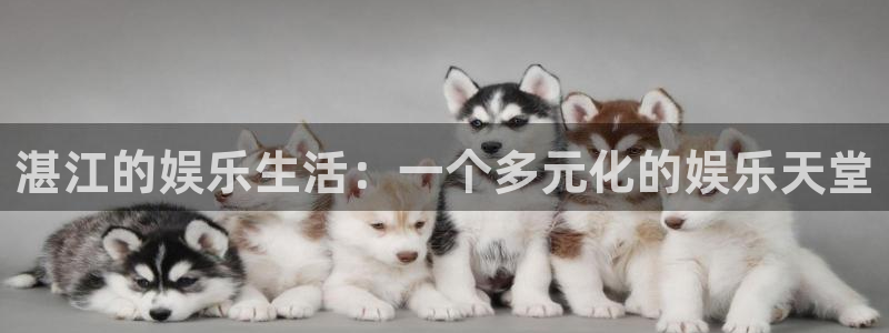 凯发网址登录