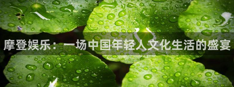 新加坡凯发有限公司