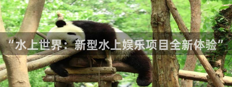 k8凯发注册入口：“水上世界：新型水上娱乐项目全新体验”